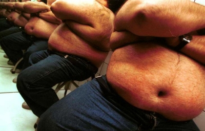 DN-Cientistas descobrem que sistema imunitário contribui p/obesidade